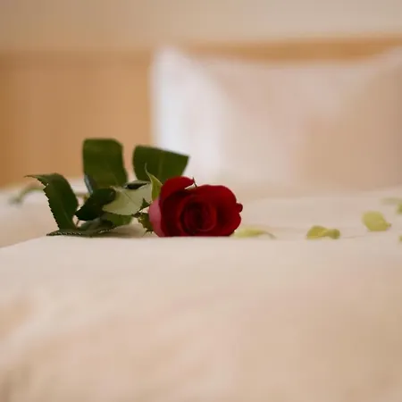 Tyrol Apart Otel 4*
